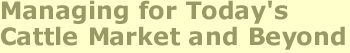 Managing for Today's Cattle Market and Beyond